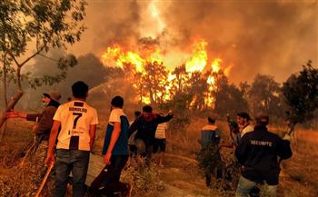 مصر تعزى الجزائر في ضحايا الحرائق