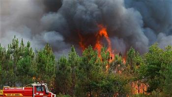 السيطرة على حريق في منتزه طبيعي وسط البرتغال