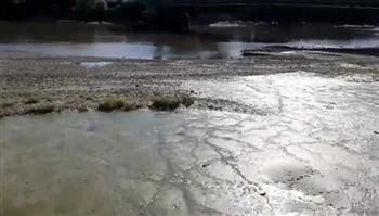بسبب الحرارة الشديدة.. جفاف نهر التايمز أشهر الأنهار في العالم (فيديو)
