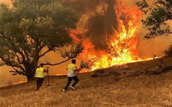 مجلس التعاون يعزي الجزائر في ضحايا حرائق الغابات