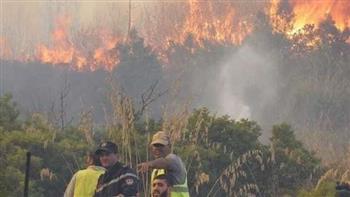 ليبيا تعزي الجزائر في ضحايا حرائق الغابات