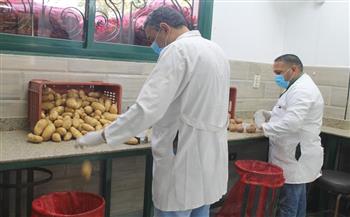 تجديد الاعتماد الدولي لمعامل حصر ومكافحة مرض العفن البني في البطاطس