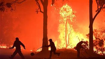 السيطرة على حرائق الغابات في تونس