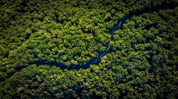 كولومبيا تقترح إنشاء صندوق دولي لمساعدة الفلاحين على حماية الأمازون