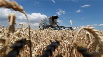 وزير أوكراني يحذر من أن صادرات الحبوب قد تحتاج أشهر لتصل إلى مستويات ما قبل الأزمة