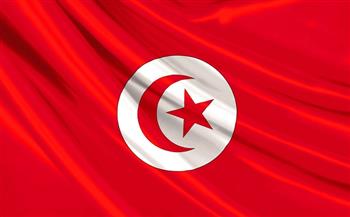 تونس: نتائج الاستفتاء على الدستور الجديد لم تتأثر بالطعون الانتخابية