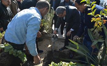 محافظ المنيا يدشن مبادرة زراعة الأشجار بميادين وشوارع المحافظة