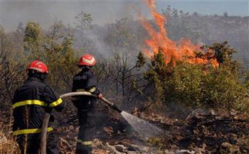 الجزائر: إخماد 31 حريقا في عدد من الولايات خلال 24 ساعة