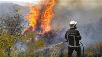 ارتفاع حصيلة ضحايا الحرائق في الجزائر الى 43 قتيلا