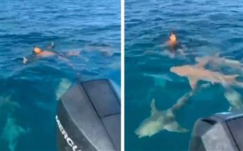 من أجل الإثارة.. شاب يسبح وسط أسماك القرش العملاقة دون خوف (فيديو)