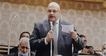 برلماني: القمة الخماسية فرصة كبيرة لجذب الاستثمارات العربية في مصر
