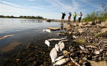 الحكومة الألمانية تنفي اتهامات بولندا بمسئوليتها عن نفوق الأسماك في نهر أودر