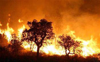 إخماد 22 حريقا نشب في 12 ولاية جزائرية