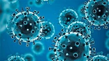 الهند تسجل أكثر من 10 آلاف إصابة جديدة بفيروس كورونا