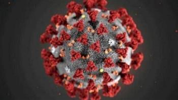 الإمارات تسجل 602 إصابة جديدة بفيروس كورونا