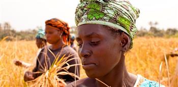 خبراء: صغار المزارعين هم الأكثر تضررا من التغيرات المناخية فى أفريقيا