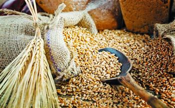 الهند تقيد صادرات دقيق القمح لخفض الأسعار القياسية