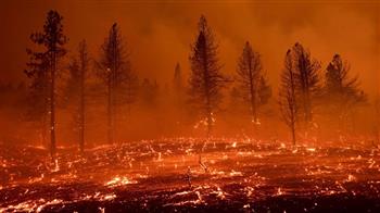 حرائق الغابات في ألمانيا تلتهم 4300 هكتار منذ بداية فصل الصيف