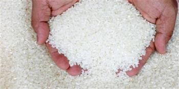 الهند تتجه لتقييد صادرات الأرز