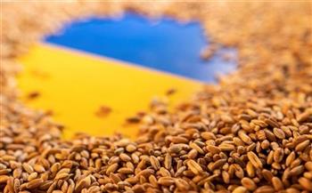 المنسق الأممي لمبادرة البحر الأسود: صادرات الحبوب الأوكرانية تجاوزت المليون طن