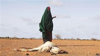 جفاف يقود إلى مجاعة.. صورة ترصد الأوضاع المأساوية في الصومال
