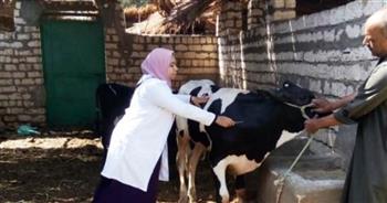 تحصين 102 ألف رأس ماشية ضد الأمراض الوبائية بالغربية
