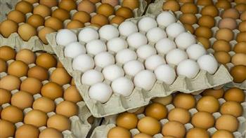 «منتجي الدواجن»: تراجع بأسعار البيض واللحوم البيضاء بعد زيادة المعروض