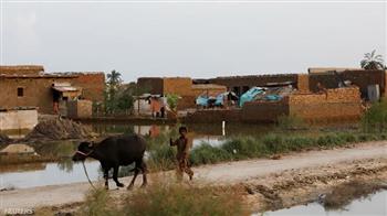 باكستان تدرس استيراد الخضروات من‭ ‬الهند بسبب الفيضانات