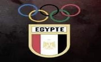 بالإجماع.. الدمرداش رئيسا للجنة الأندية والهيئات باللجنة الأولمبية المصرية 