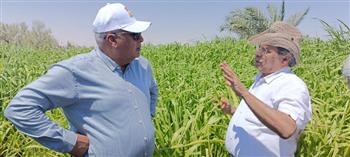 «بحوث الصحراء» ينظم 75 مدرسة حقلية في الوادي الجديد بالتعاون مع الفاو