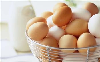  الزراعة: نُنتج 25 ألف طبق بيض يوميا لمواجهة ارتفاع الاسعار