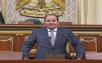 برلماني: إنشاء أكبر مصنع للغزل والنسيج يسهم في إحياء رواج القطن المصري
