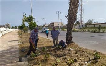 استمرار أعمال تطوير المسطحات الخضراء بمدخل بورسعيد الجنوبي