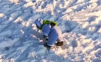 فيديو طريف.. رد فعل قرد يُشاهد الثلوج لأول مرة