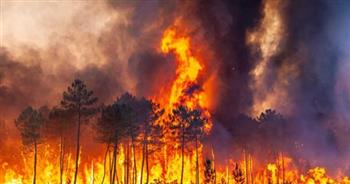 فرنسا: إجلاء ثلاثة آلاف شخص من منازلهم بسبب حريق الغابات في إقليم أفيرون