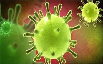 "هينيبا" فيروس جديد يضرب الصين 