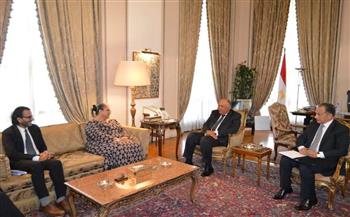 وزير الخارجية : مصر حريصة دائمًا على دعم استقرار منطقة القرن الإفريقي