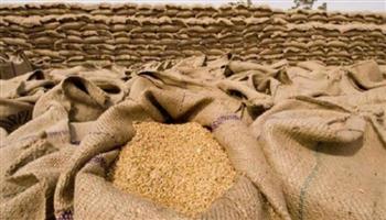 «التموين»: المخزون الاستراتيجي من القمح يصل لـ6 أشهر.. و90% الاكتفاء الذاتي من السكر