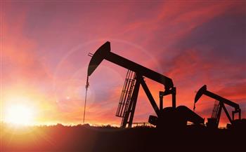 "بلومبيرج": الولايات المتحدة قد تجدد احتياطيات النفط الاستراتيجية بسعر حوالي 80 دولاراً للبرميل