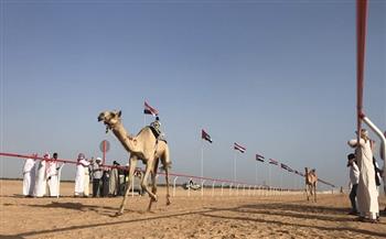 «حماة وطن»: سباق الهجن عرس جديد يضاف إلى قافلة التنمية بشمال سيناء