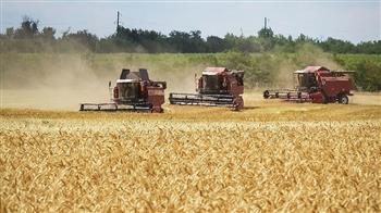بوتين وجوتيريش يبحثان اتفاق تصدير الحبوب الأوكرانية
