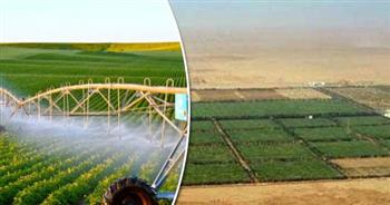 أستاذ زراعة: 5 عوامل ساهمت في إحداث طفرة بصادرات مصر من المحاصيل عالميًا