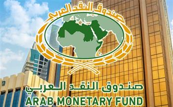 النقد العربي : الاقتصاد العالمي محتمل يواجه تحديات كبيرة 