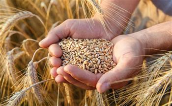 روسيا تعرب عن استعدادها لتوريد نحو 30 مليون طن من الحبوب في النصف الثاني من العام الجارى
