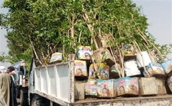 توزيع أكثر من 3 آلاف شجرة بالمنيا ضمن رؤية مصر 2030