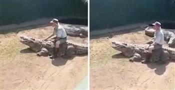 مربي حيوانات يتلقى مصير صادم بعد إهانته لتمساح عجوز (فيديو) 