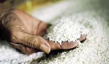 توريد أكثر من 1173 طنا من الأرز الشعير إلى 31 موقعا بالدقهلية