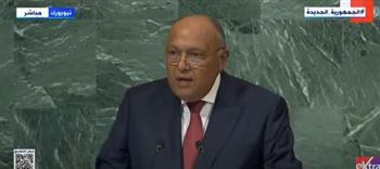 بث مباشر.. كلمة وزير الخارجية أمام الجمعية العامة للأمم المتحدة