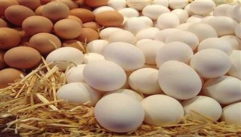 أسعار البيض اليوم 25 سبتمير 