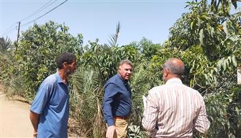 لمتابعة العفن الهبابي.. رئيس «مكافحة الآفات» يتفقد مزارع المانجو بالإسماعيلية